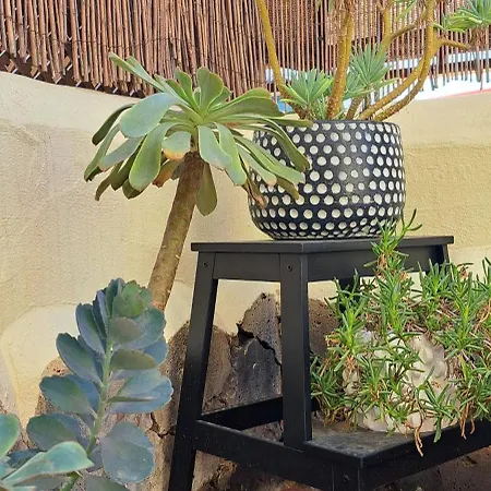 Casa Normanda Apartment